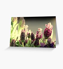 Pretty Purple Greeting Card