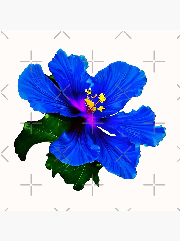 Pop Art Hibiscus/ Hawaiian/ Hibiscus in Blue 2024