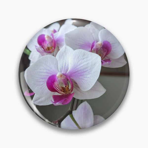 Item preview, Orchids designed and sold by CsillaRosales.
