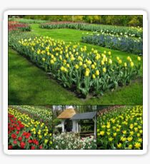 Keukenhof Tulips Collage Sticker