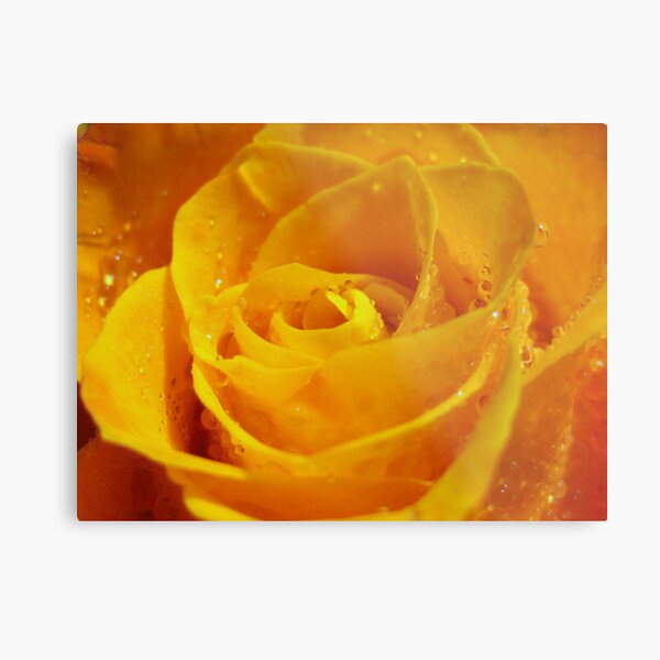 Proud Metal Print