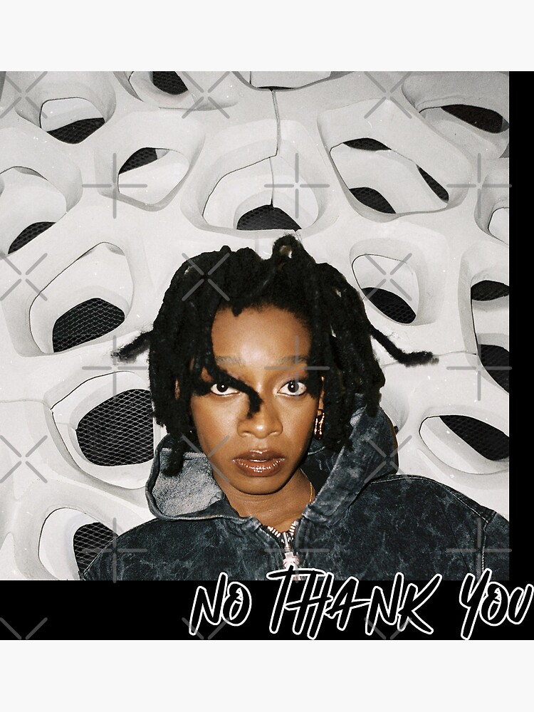 NO THANK YOU by Little Simz 2023