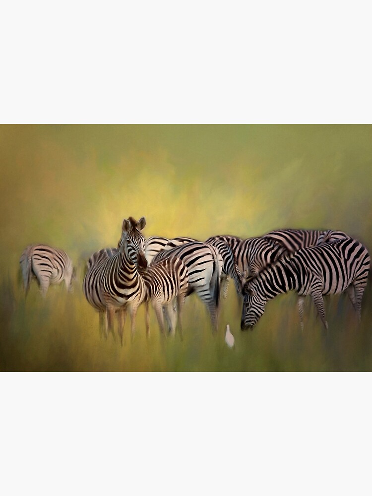 "Zebras." Canvas Print for Sale by Sabvaning Redbubble