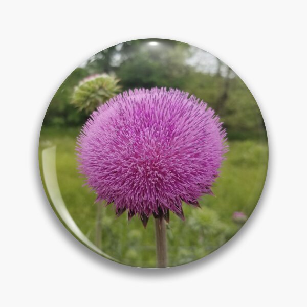 Item preview, Thistle Puff designed and sold by ArcSpectre.