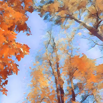 Artwork thumbnail, Fall Home Trees by InTrendSick