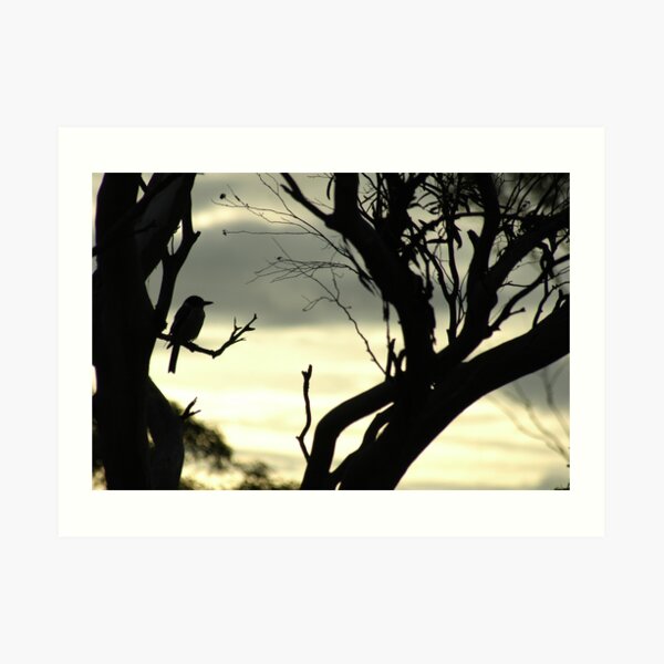 Butcher bird silhouette Art Print