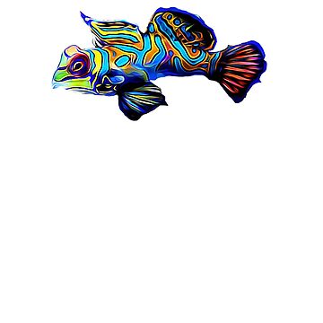 Artwork thumbnail, Mandarin Goby dragonet by AngryOcean