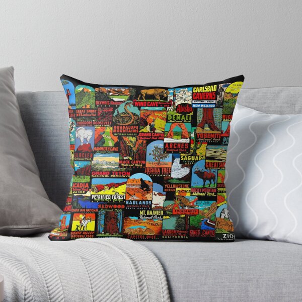 https://ih1.redbubble.net/image.470695526.1348/throwpillow,small,600x-bg,f8f8f8-c,0,120,600,600.u2.jpg