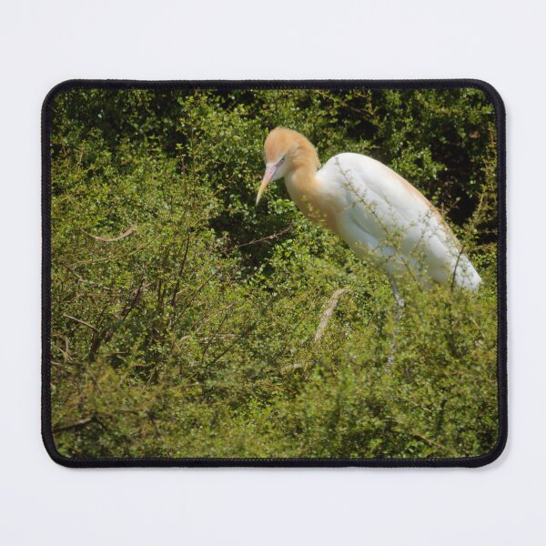 Item preview, Cattle Egret in the Bush designed and sold by D-GaP.