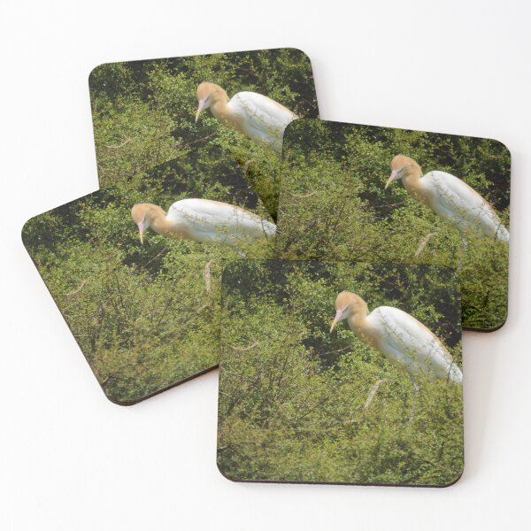 Item preview, Cattle Egret in the Bush designed and sold by D-GaP.