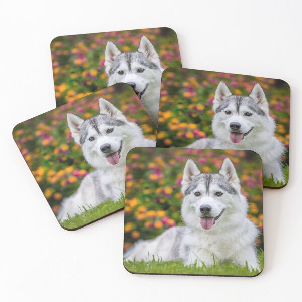 Item preview, Siberian in the Grass designed and sold by May Finch.