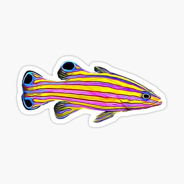 Item preview, Candy Basslet Reef Fish designed and sold by AngryOcean.