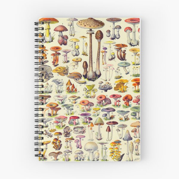 Item preview, Adolphe Millot Mushrooms Vintage Scientific Illustration Larousse Encyclopedia Labeled Specimen designed and sold by Ejaaz.