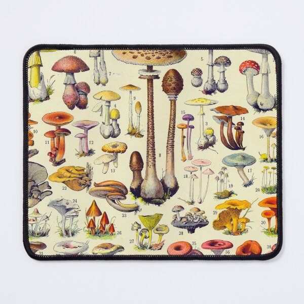 Item preview, Adolphe Millot Mushrooms Vintage Scientific Illustration Larousse Encyclopedia Labeled Specimen designed and sold by Ejaaz.