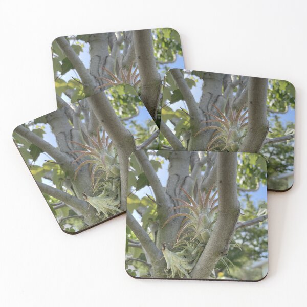 Item preview, Airplant designed and sold by Sparkleweather.