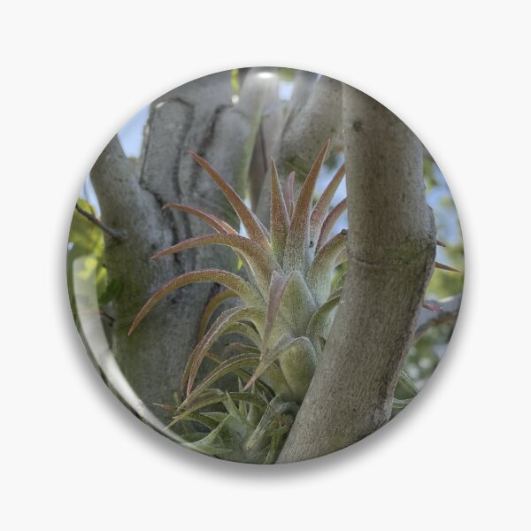 Item preview, Airplant designed and sold by Sparkleweather.