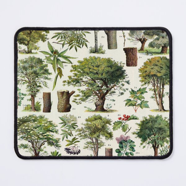 Item preview, Adolphe Millot Vintage Scientific Illustration Larousse Encyclopedia Labeled Illustration Trees designed and sold by Ejaaz.