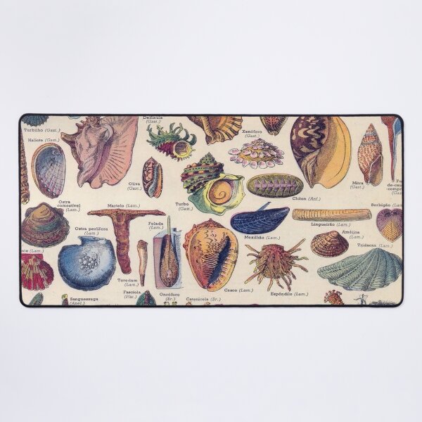 Item preview, Adolphe Millot Vintage Scientific Illustration Larousse Encyclopedia Labeled Illustration Ocean Life designed and sold by Ejaaz.