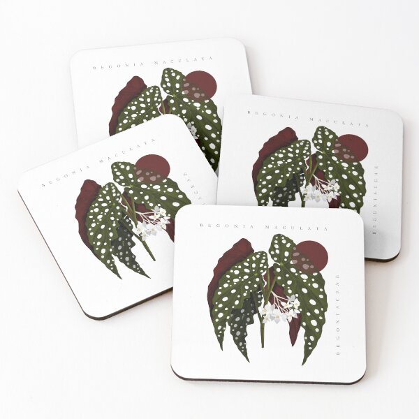 Item preview, Begonia Maculata - Botany Black friday designed and sold by Ilustropical.