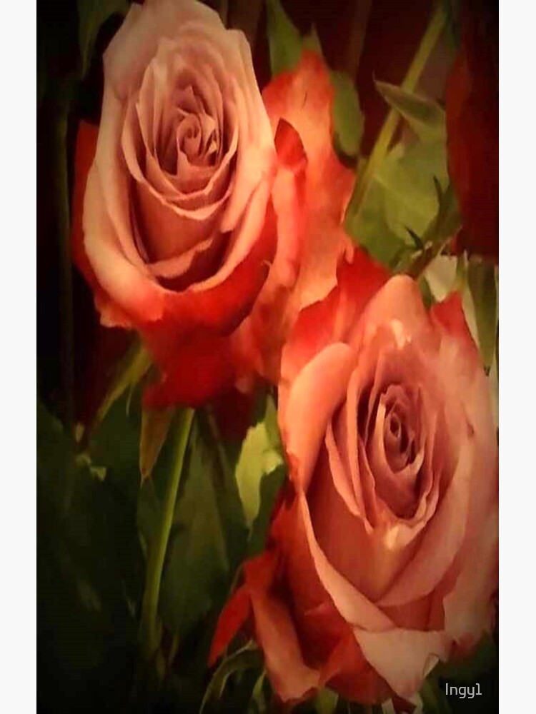 "Roses Roses Roses Roses" Sticker for Sale by Ingy1 Redbubble