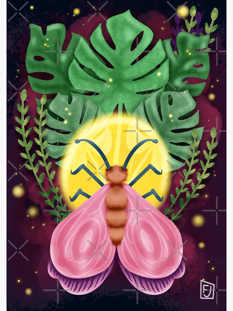Thumbnail 3 of 3, Sticker, Rose Moth Monstera designed and sold by Flickingjane.