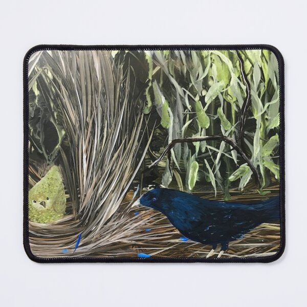 Item preview, Amazing Birds, Satin Bowerbird Art, Decorative Wildlife Painting By Lisa Kirwan designed and sold by KirwanArt.