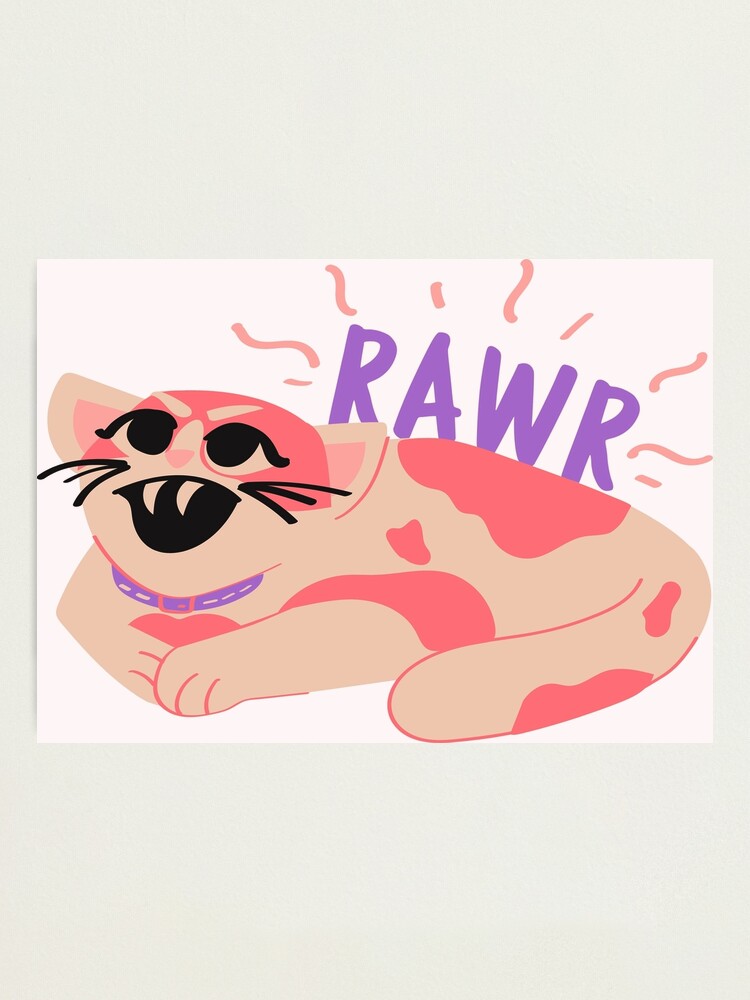 angry cat face meme | Photographic Print