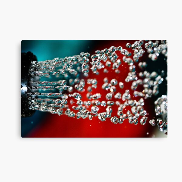 Doing Dishes is Fun! Canvas Print