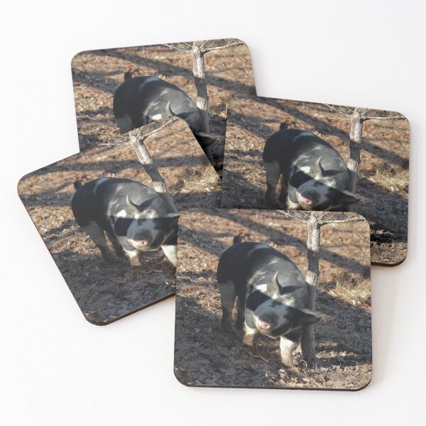 Item preview, Black and White Pig designed and sold by bmiller64.
