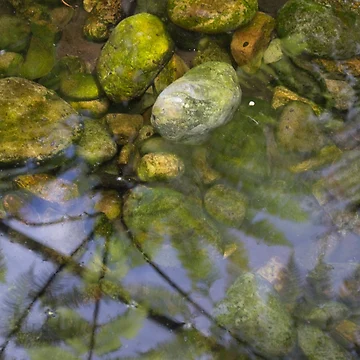 Artwork thumbnail, Reflections by Magda Labuda