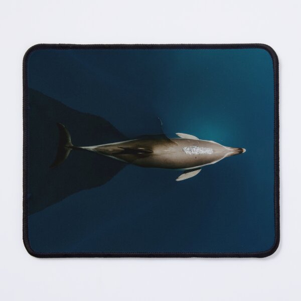 Item preview, The Incredible Dolphin designed and sold by boltjesdesign.