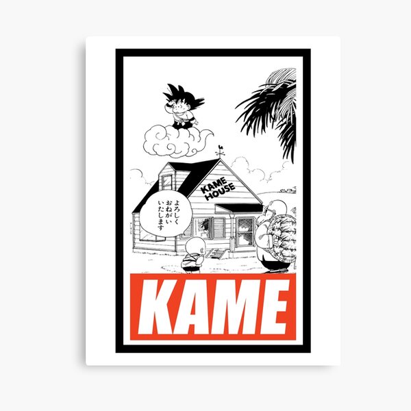 Kame House Wall Art Redbubble