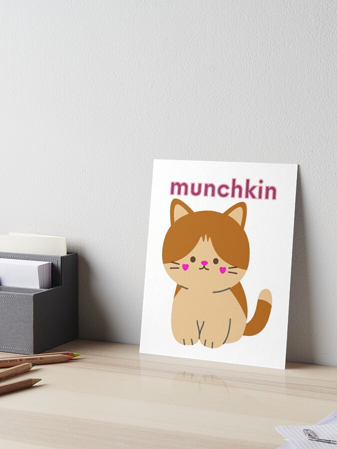 Pin em Munchkin Cat Orange King