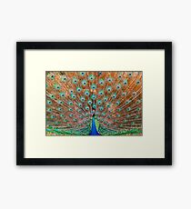 Sri Lanka #4 Framed Print