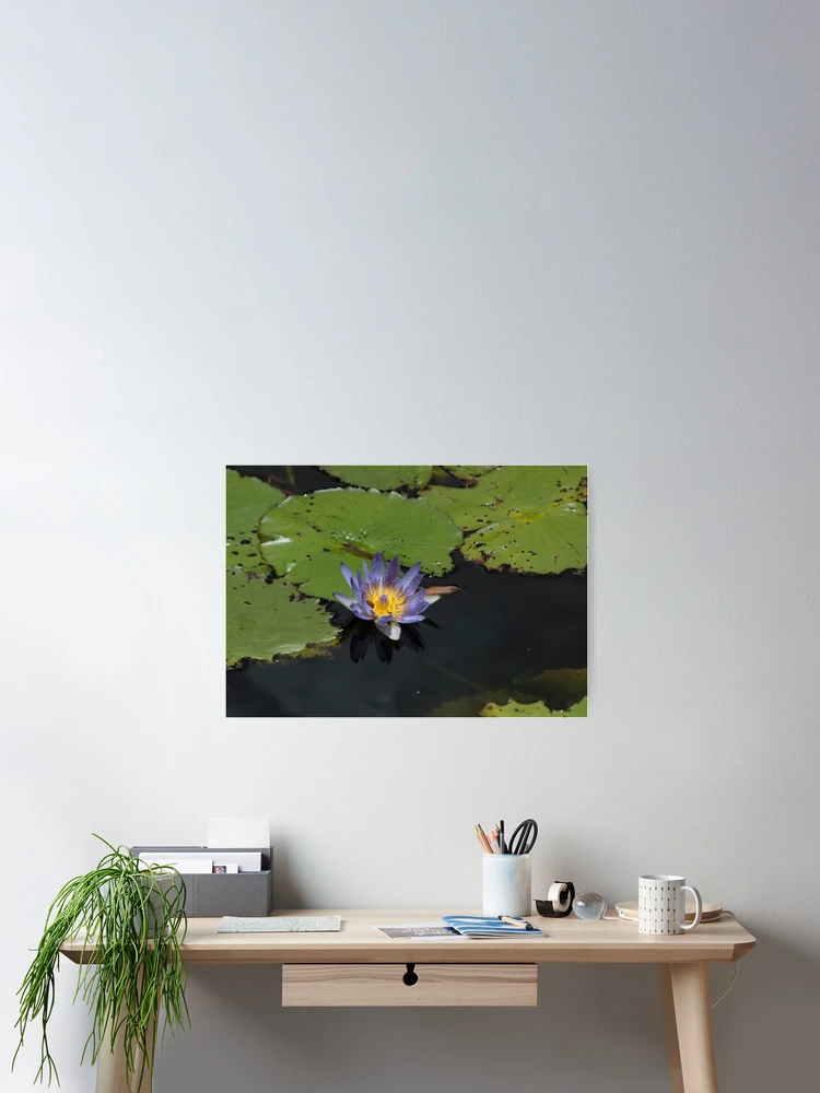 Thumbnail 2 of 3, Poster, designed and sold by Magda Labuda.