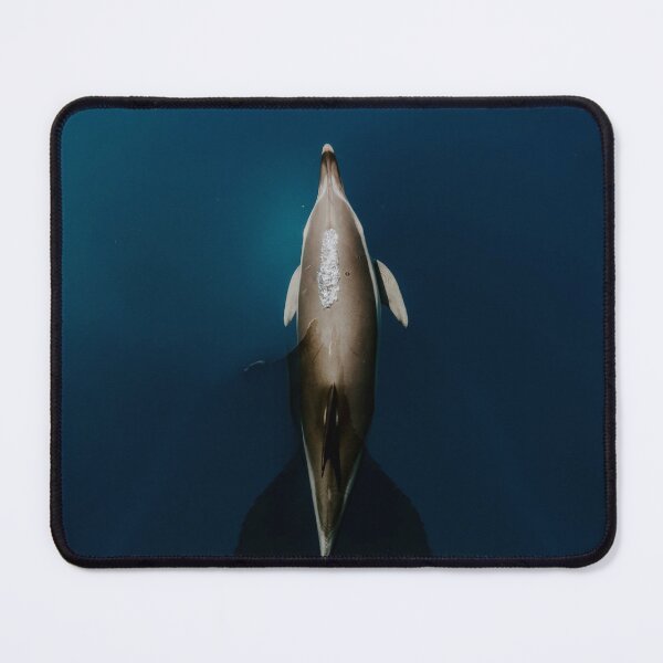Item preview, The Incredible Dolphin designed and sold by boltjesdesign.