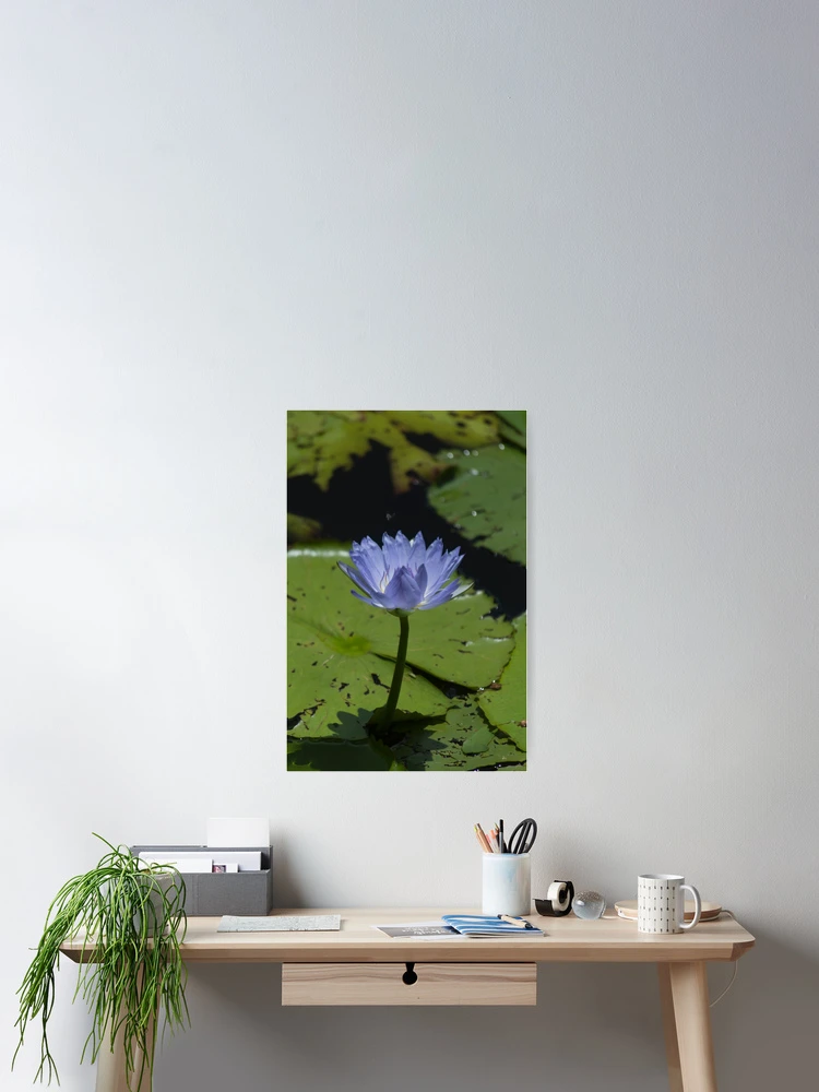 Thumbnail 2 of 3, Poster, designed and sold by Magda Labuda.