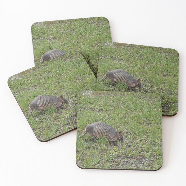 Item preview, Florida Armadillo designed and sold by Sparkleweather.