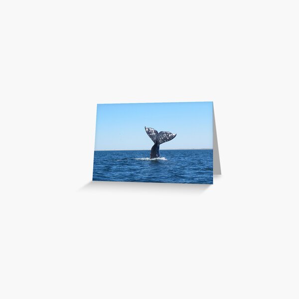 Item preview, Gray Whale Tail designed and sold by Whale & Dolphin Wisdom Retreats.