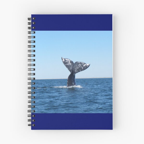 Item preview, Gray Whale Tail designed and sold by Whale & Dolphin Wisdom Retreats.