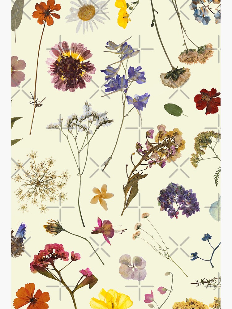 Pressed Flowers Art Board Print for Sale by Anniesandi