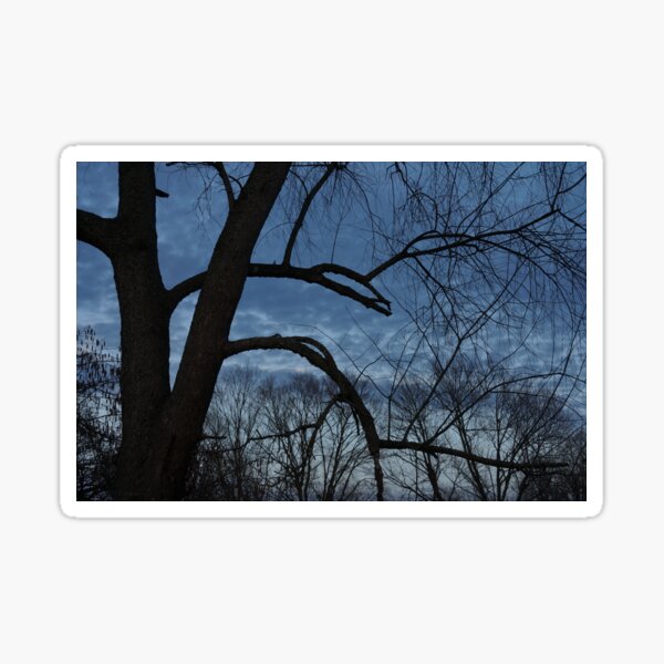 Item preview, Stormy Blue Sky designed and sold by TheeForestFox Shop.