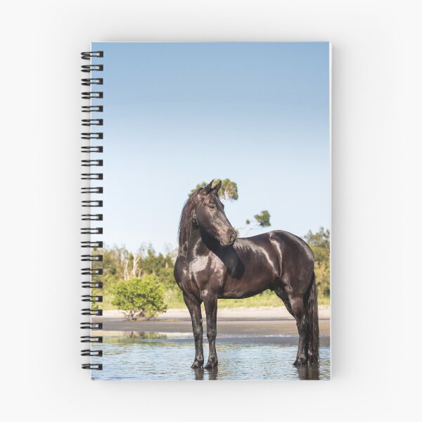 Item preview, Freisian Horse designed and sold by EMcleanphotos.