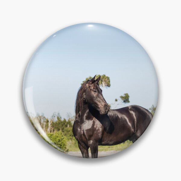 Item preview, Freisian Horse designed and sold by EMcleanphotos.