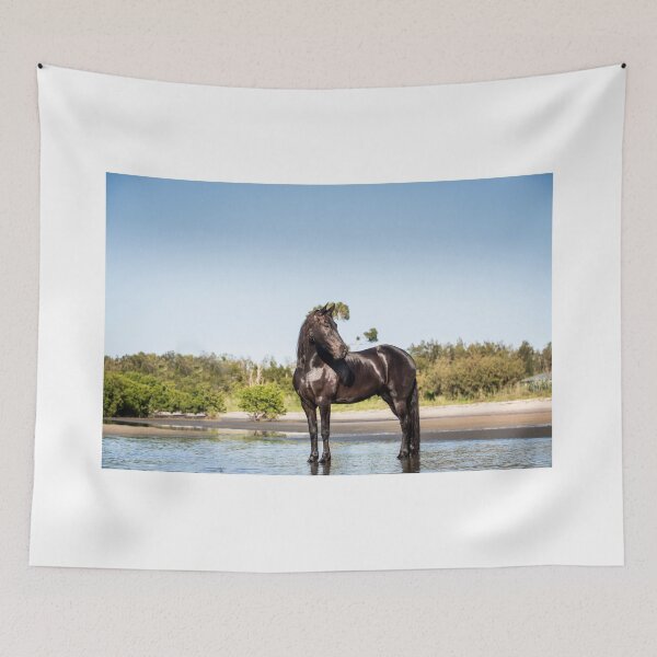 Item preview, Freisian Horse designed and sold by EMcleanphotos.