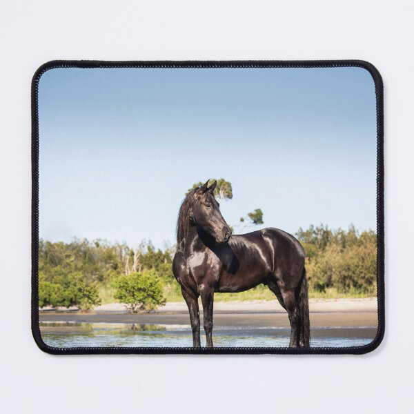 Item preview, Freisian Horse designed and sold by EMcleanphotos.