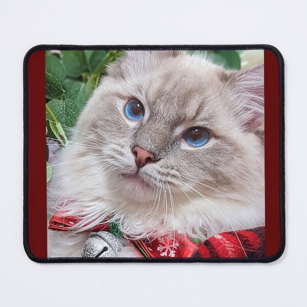 Item preview, Copy of Lynx ragdoll cat in Scottish tartan designed and sold by Fluffycat2020.