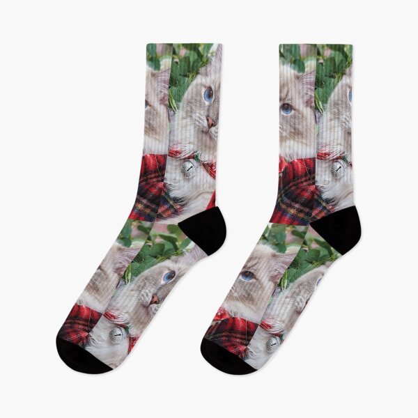 Item preview, Copy of Lynx ragdoll cat in Scottish tartan designed and sold by Fluffycat2020.