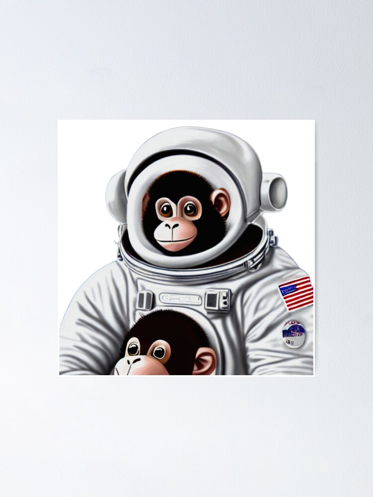 Mono astronauta espacial | Lámina fotográfica