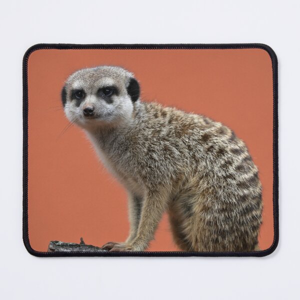 Item preview, Meerkat - siruate designed and sold by Milan Latta.